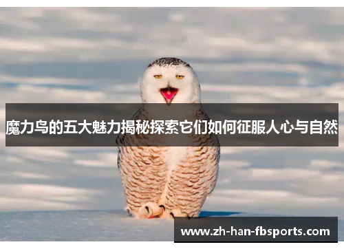 魔力鸟的五大魅力揭秘探索它们如何征服人心与自然