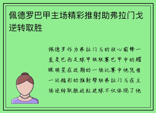 佩德罗巴甲主场精彩推射助弗拉门戈逆转取胜